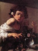 Caravaggio Boy Bitten by a Lizard f oil painting picture wholesale