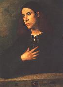 Giorgione Portrait of a Youth (Antonio Broccardo) dsdg oil painting picture wholesale