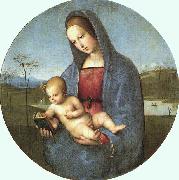 Raphael Conestabile Madonna oil painting picture wholesale