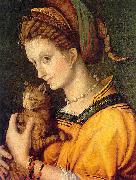 BACCHIACCA Portrait de jeune femme tenant un chat oil painting artist