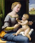 Raphael Madonna dei garofani oil painting on canvas