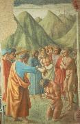 MASACCIO The Baptism of the Neophytes oil painting