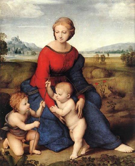 Raffaello Madonna of Belvedere oil painting picture