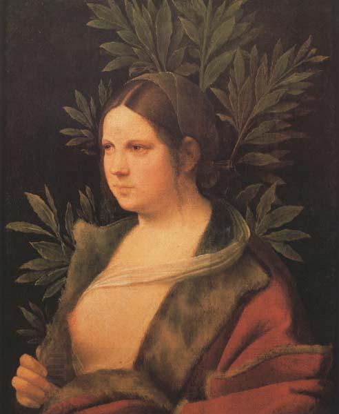 Giorgione Laura (MK45) China oil painting art