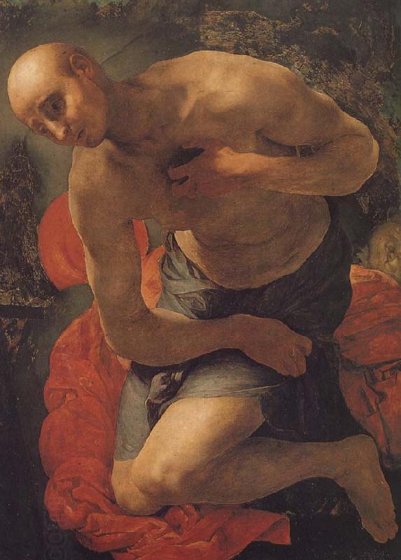 Pontormo St. Jerome oil painting picture