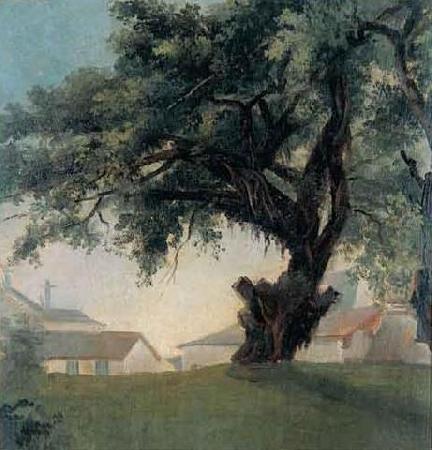 Anonymous Giant tree and barracks China oil painting art
