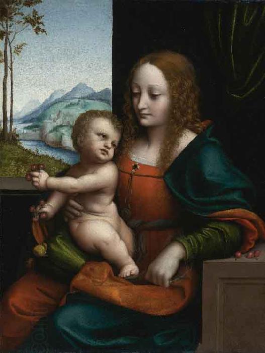 GIAMPIETRINO The Virgin and Child oil painting picture