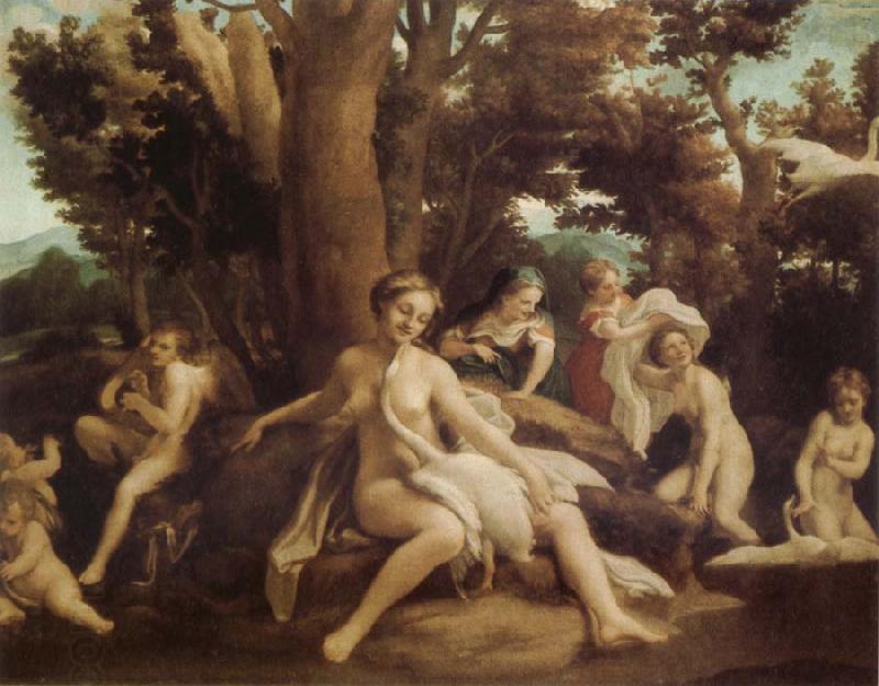 Correggio Leda and the Swan oil painting picture